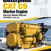Caterpillar CAT C9 Marine Engine Service Repair Manual (Z9X00001 and up) Caterpillar CAT C9 Marine Engine Service Repair Manual (Z9X00001 and up)