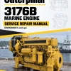 Caterpillar CAT 3176B Marine Engine Service Repair Manual (9WK00001 and up)