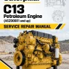 Caterpillar CAT C13 Petroleum Engine Service Repair Manual (A5Z00001 and up)