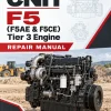 CNH F5 (F5AE & F5CE ) Tier 3 Engine Repair Manual CNH F5 (F5AE & F5CE ) Tier 3 Engine Repair Manual