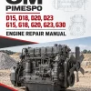 OM PIMESPO FIAT - D15, D18, D20, D23, G15, G18, G20, G23, G30 Engine Repair Manual